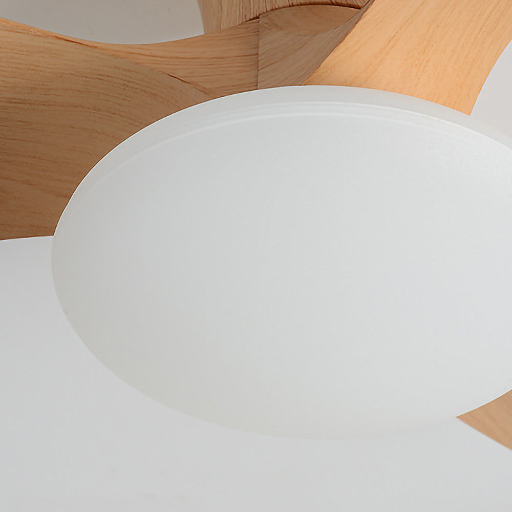 Elaria – Deckenventilator aus echtem Holz