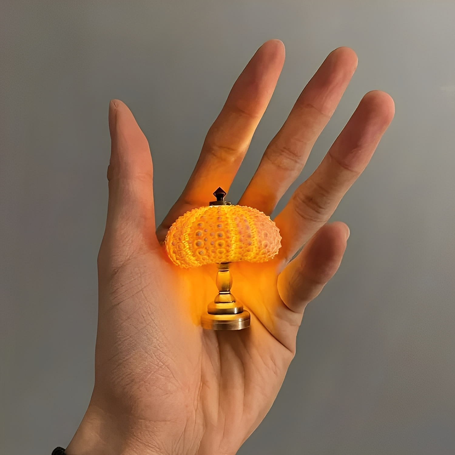 Nila – DIY Seeigel-Nachtlicht