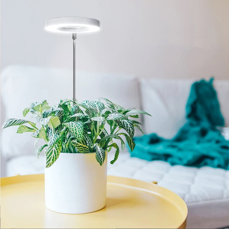 PlantGlow – Stilvolle LED-Pflanzenlampe für gesundes Wachstum im Wohnambiente