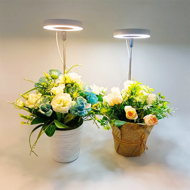 PlantGlow – Stilvolle LED-Pflanzenlampe für gesundes Wachstum im Wohnambiente