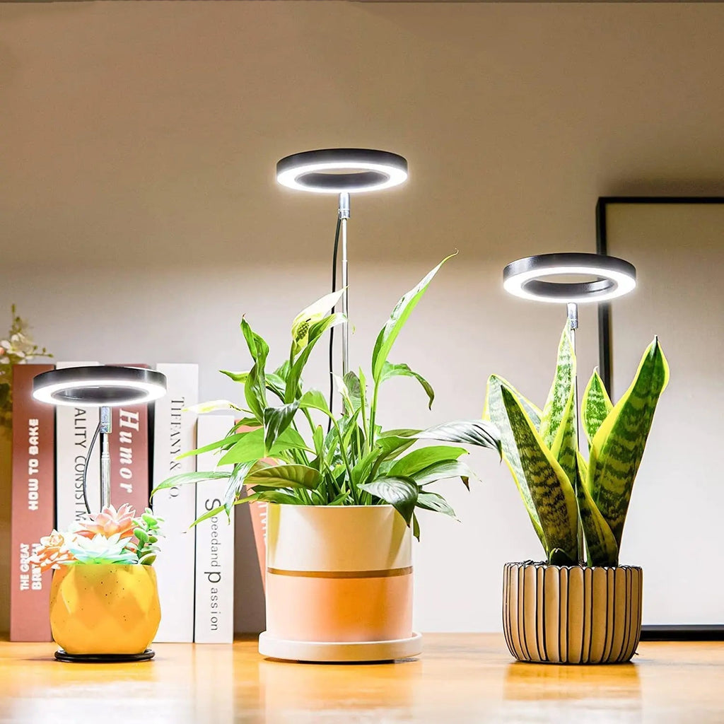 PlantGlow – Stilvolle LED-Pflanzenlampe für gesundes Wachstum im Wohnambiente