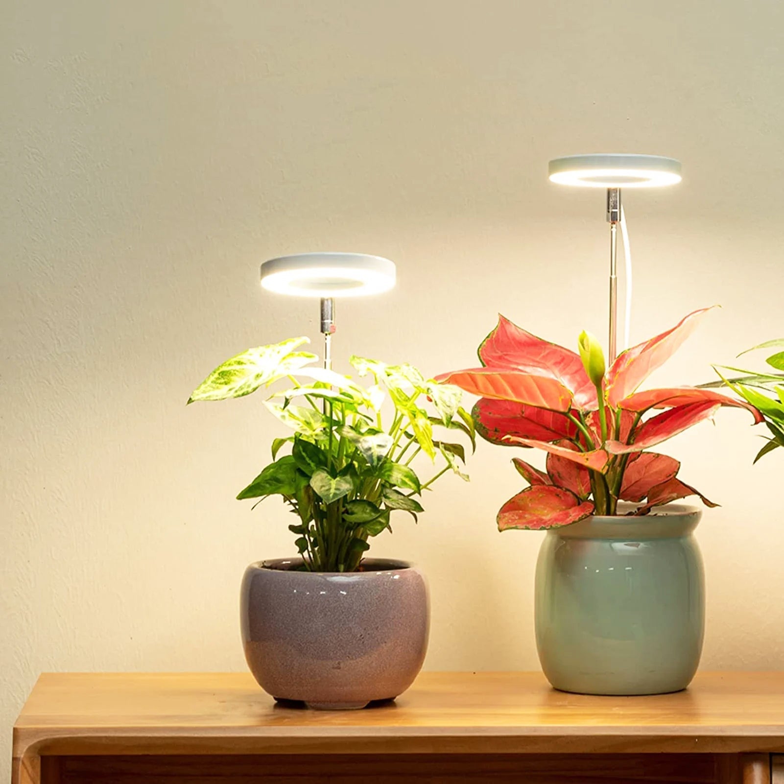 PlantGlow – Stilvolle LED-Pflanzenlampe für gesundes Wachstum im Wohnambiente