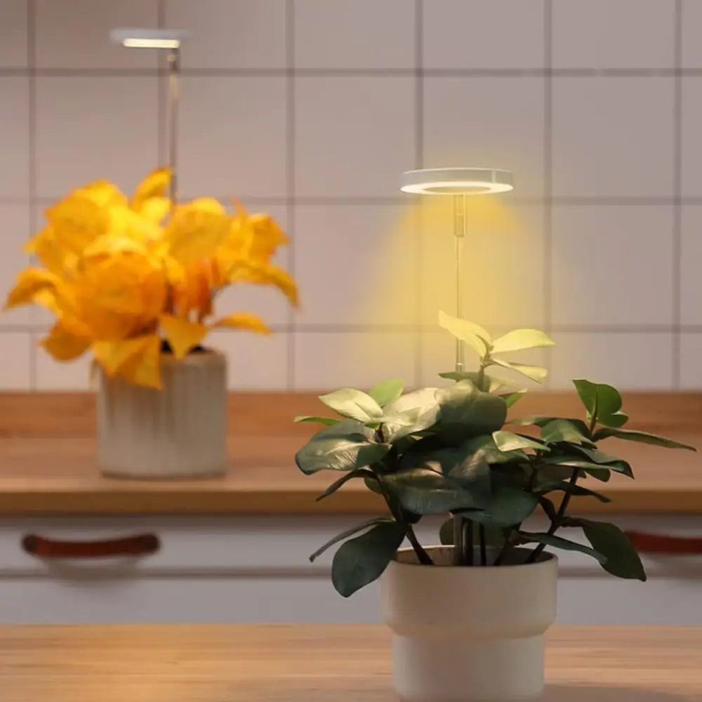 PlantGlow – Stilvolle LED-Pflanzenlampe für gesundes Wachstum im Wohnambiente