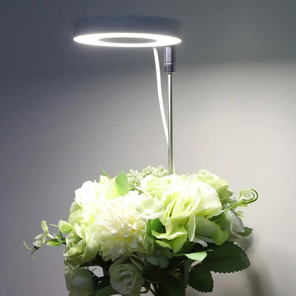 PlantGlow – Stilvolle LED-Pflanzenlampe für gesundes Wachstum im Wohnambiente