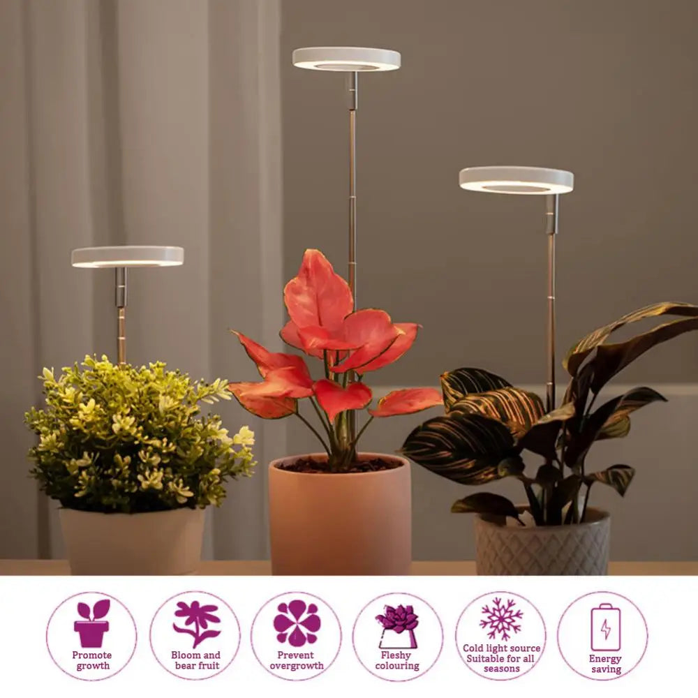 PlantGlow – Stilvolle LED-Pflanzenlampe für gesundes Wachstum im Wohnambiente