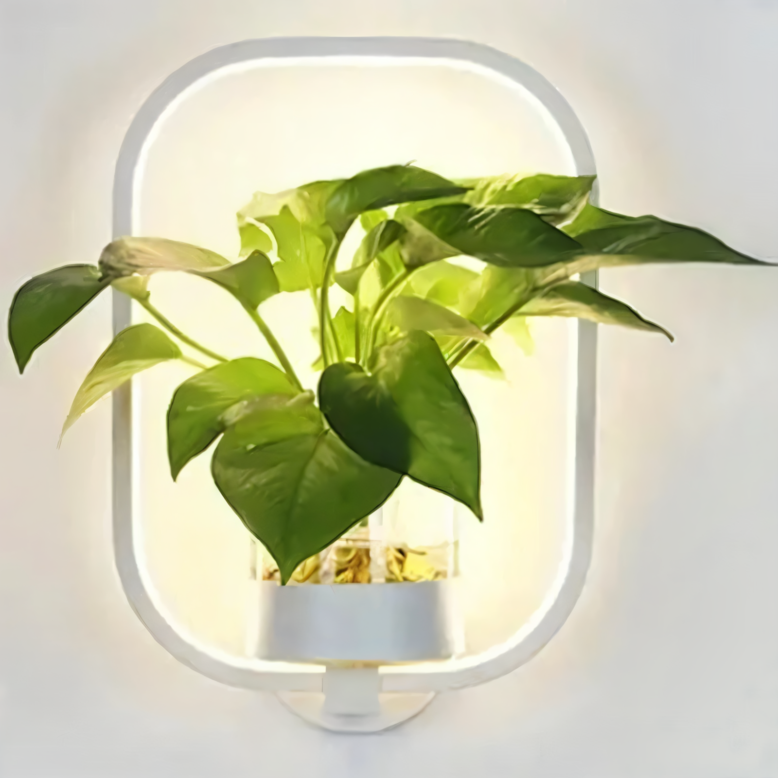Kaori – Zeitgemäße LED-Wandleuchte
