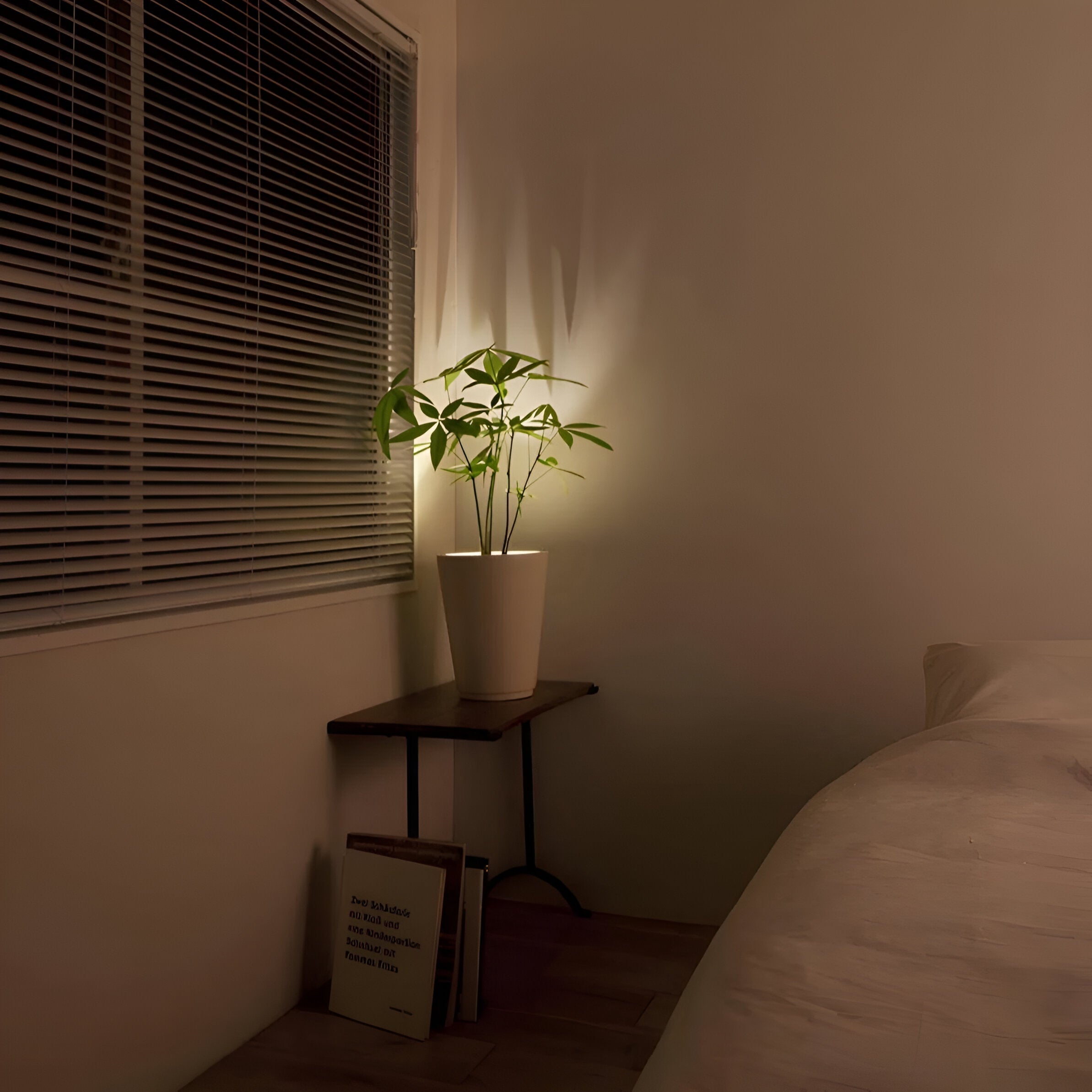 Lumora – LED Projektionslampe