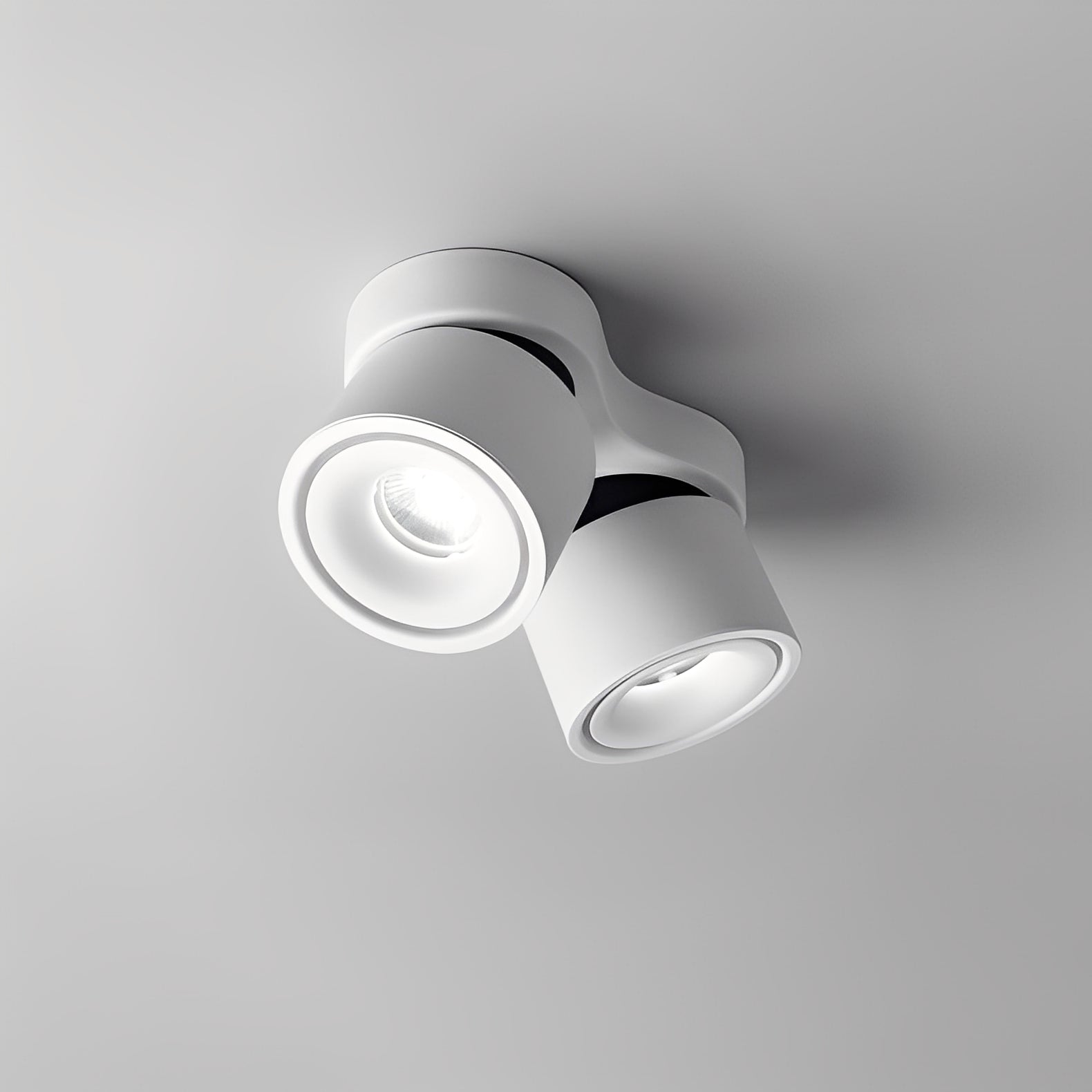 Tricos – Zweiflammige LED-Deckenleuchte