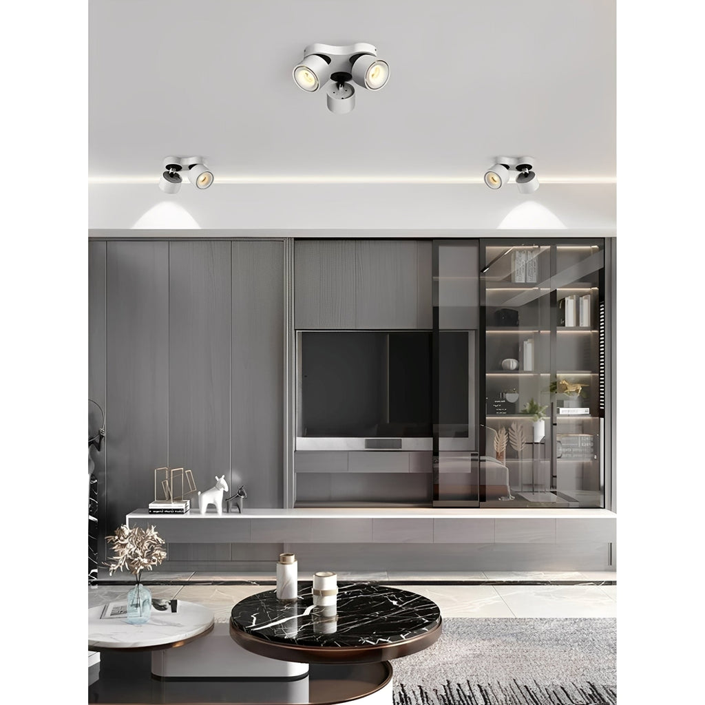 Tricos – Zweiflammige LED-Deckenleuchte
