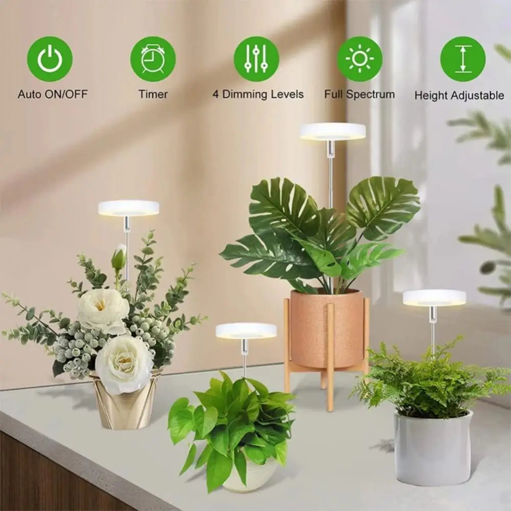 PlantGlow – Stilvolle LED-Pflanzenlampe für gesundes Wachstum im Wohnambiente