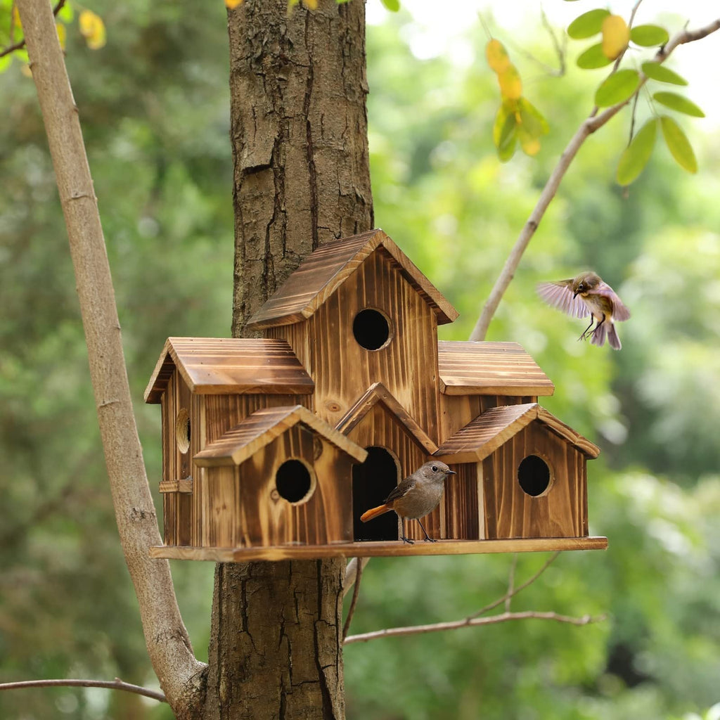 Kelly – Kreative Vogelhaus-Dekoration aus Holz