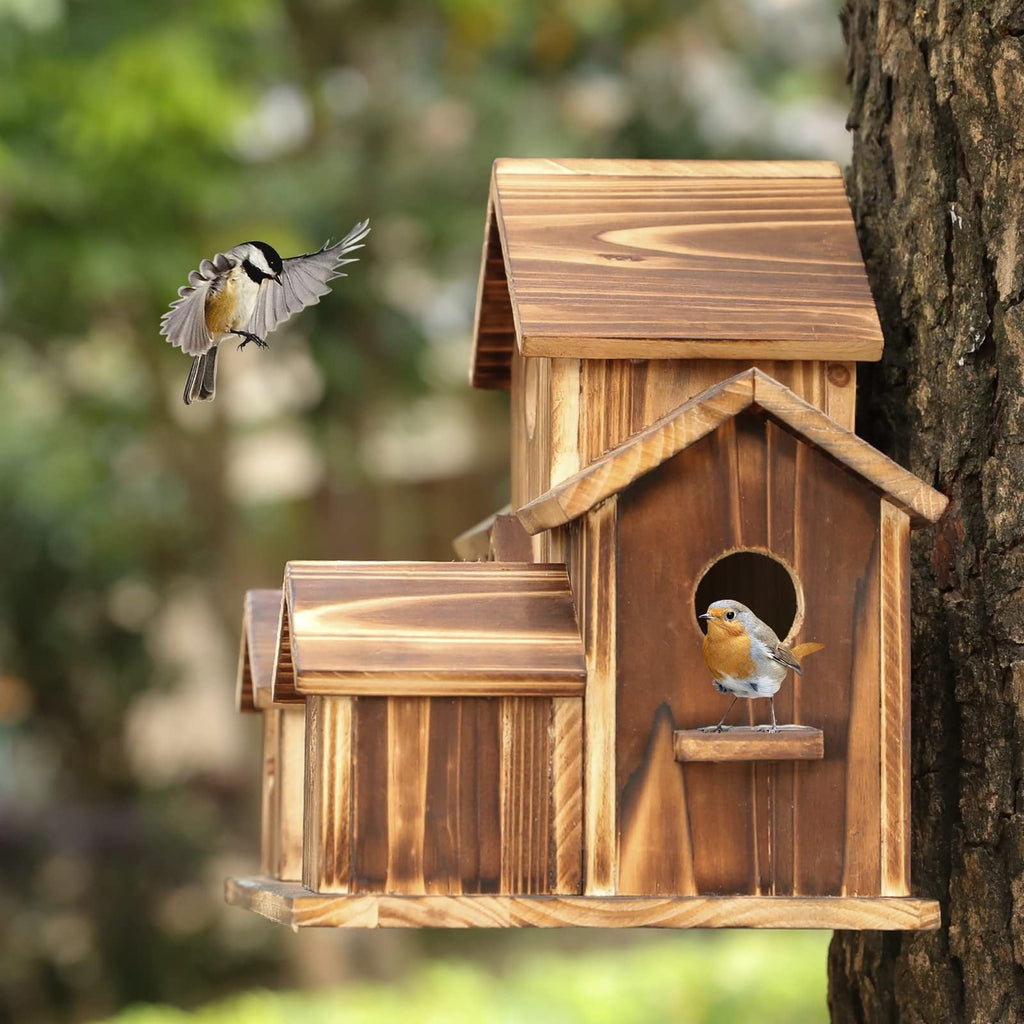 Kelly – Kreative Vogelhaus-Dekoration aus Holz
