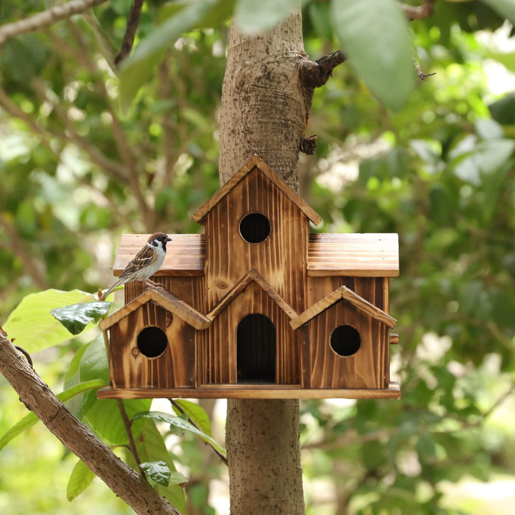 Kelly – Kreative Vogelhaus-Dekoration aus Holz